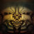 Kingdragon573