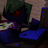 rasy