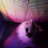 mexicandogs15