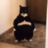 idkjvvier