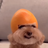 Ascendedgoof