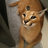 MoofyDoof