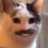 theogzimmy