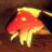 whyvr21