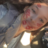 COJAVEM