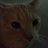 Poopy_Enforcer