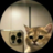 luedy63d646