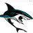 Alex_jsp25
