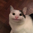 Bewuwuga