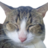 zmadafaka