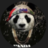 Mrpanda15