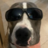 GigglesFTW