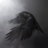 raven9665