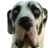 Versini