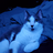 calledbat455
