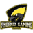 phoenixkart