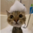 timopabi