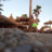 Suty_62