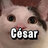 cesarcesar