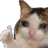 ZainOnTop