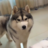 RMLive_