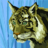 Selmir1