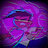 sistn1w