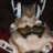realgambler