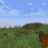 nathanck