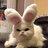 GoogleMoogle