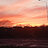 ssfafasfasf