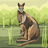 aaussiea122