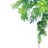 clockenson