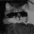 euanh99