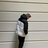 Jamie_1120