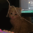 Sllump001