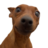 Emme_ha