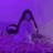 Lqnnix1