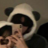 Pandziolosze