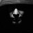 the_shade727