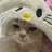 linx9952morg