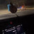 joe land