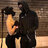 Strehin__2