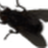 badafps