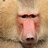 monkeytrix22