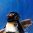 noahddfaw