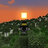 xblx