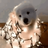 Eddie_SWE