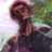 Envy_v5