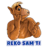 Alf46